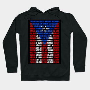 PR Flag Cities Hoodie